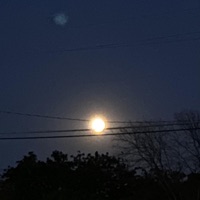 17/20 (Had It All) - Single - bloodl3ak