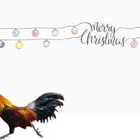 Merry Christmas (feat. Pallaso, Navio, Carol Nantongo, Namakula Mary Bata, Fresh Kid Ug, Mun G, Melody, Ambassador, Weasel, Violah Nakitende & Lydia Jazmine) - Single - All Stars Uganda & Jose Chameleone