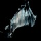 Forgot to Swim (Emma-Kate Matthews Remix) - Emma-Kate Matthews lyrics