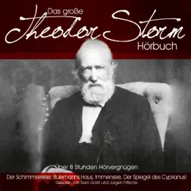 Das große Theodor-Storm-Hörbuch