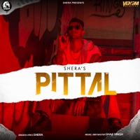 Pittal - Single - Shera