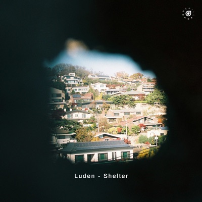 Shelter - Single