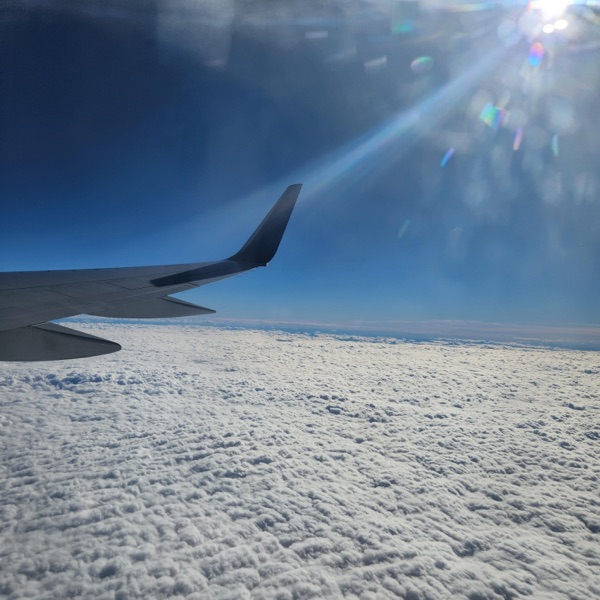 Tranquil Flight