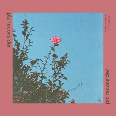 Plz Reconsider - Single