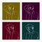 Barru - I'm (not) the one