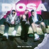 Diosa - Single