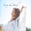 Envy The Birds