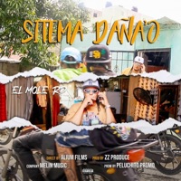 Sistema dañao - Single - El Mole RD