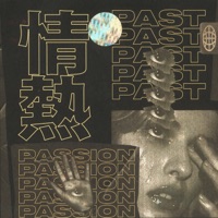 Past Passion - VSN7