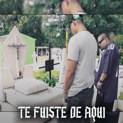 Te Fuiste de Aquí - Single