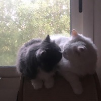 Worth It - Single - rewind