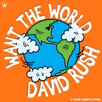 Want the World - Single - David Rush