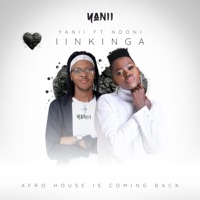 IINKINGA (feat. Ndoni) - Single - YANII