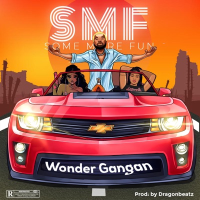 Some more fun (SMF) - Single