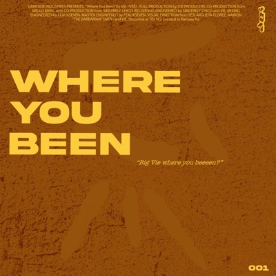 Where You Been (feat. SincerelyChico) - Single