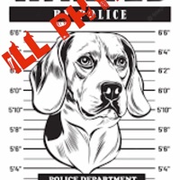 Don't Take my dog - Single - ILL Phyl