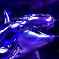 ORCA FREESTYLE - Single - absent