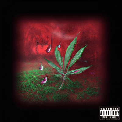 Blood, Drugs & Tears