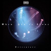 When You're Alone - Single - Triccstarr