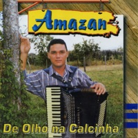 O Filho da Excelência