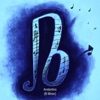 Andantino (B Minor) - Single - Dr. Kok