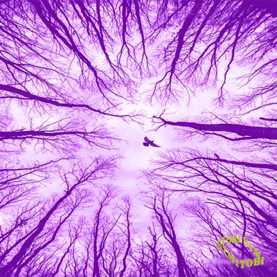 Venture - Single