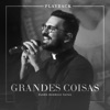 Grandes Coisas (Playback) - Single