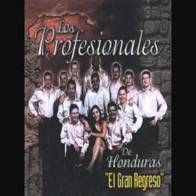 Listen to Los Profesionales Originales by Musica Honduras