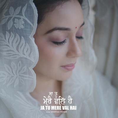 Ja Tu Mere Val Hai - Single