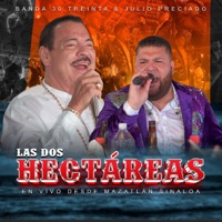 Las Dos Hectáreas (En Vivo Desde Mazatlán Sinaloa) - Single - Banda 30 Treinta & Julio Preciado