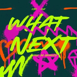 What Next Cam One