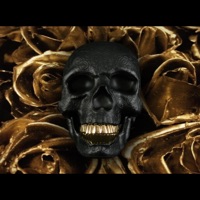 Escupiendo pureza - Single - Thaylor