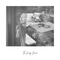From Darkness to Light (Ambient Cello Loops) - Single - The Wong Janice