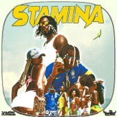 STAMINA artwork