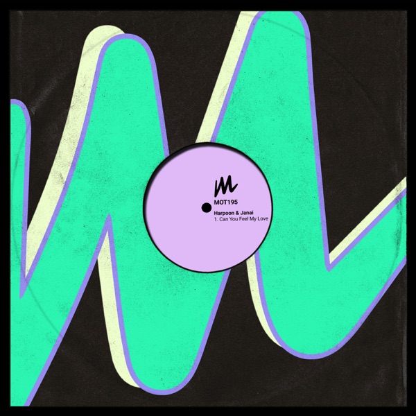 Can You Feel My Love - Single