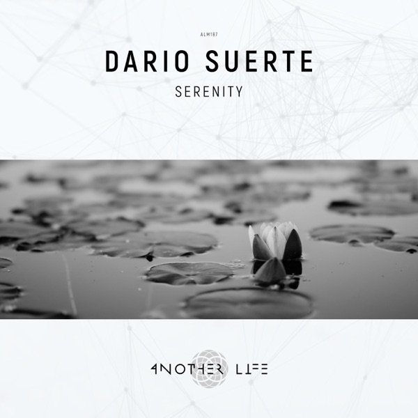 Serenity - Single