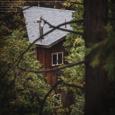 Nights in Georgia - Single