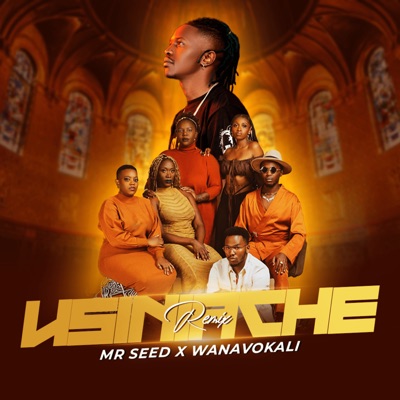 Usiniache (Remix) - Single