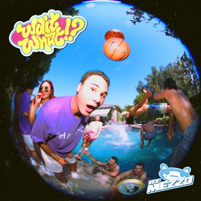 Wait What!? - Single