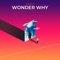 Wonder Why - TMPST lyrics