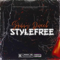 StyleFree - Single - Skinny Dweeb