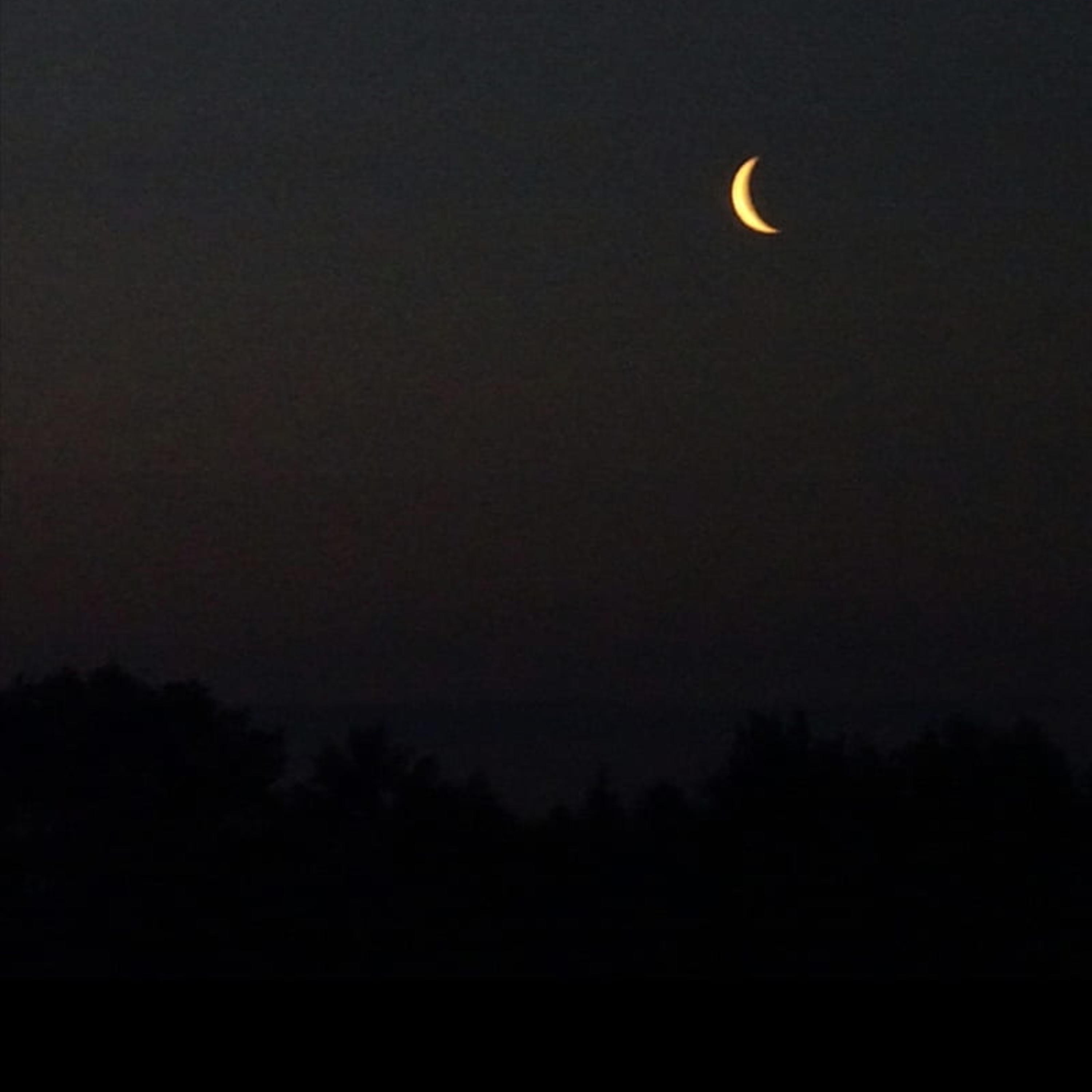 Don't Wake Me Up (feat. HKFiftyOne) - Single