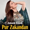 Pur Zakandan - Single