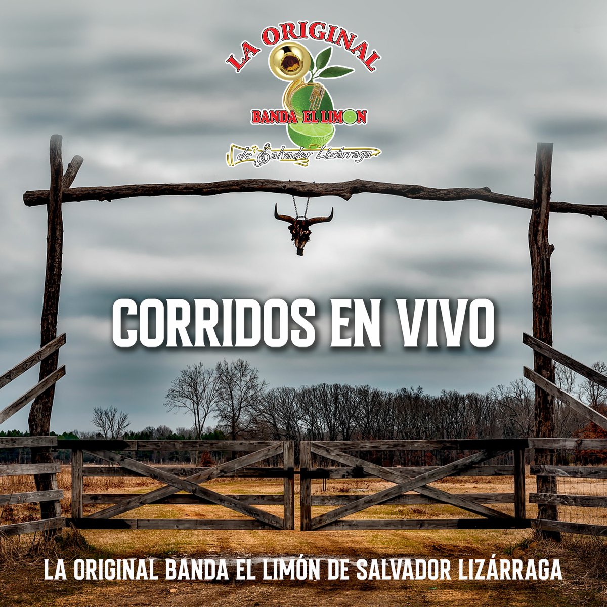La Original Banda El Limón De Salvador Lizárraga – Que me digan loco Lyrics