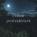Mélancolie d'Hiver