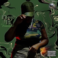 Need It Freestyle - Single - Dezi Da Bomb Diva