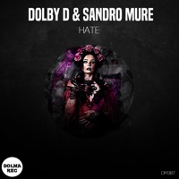 Hate - Single - Dolby D & Sandro Muré