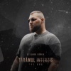 Taramul interzis (Dj Dark Remix) - Single