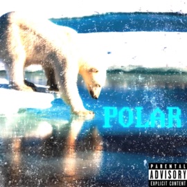 Polar Jeff Mitchell