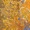 some random stuff - Spednar - PROXEMIQUES II 09 EA SPDNR SPEDNAR REMIX
